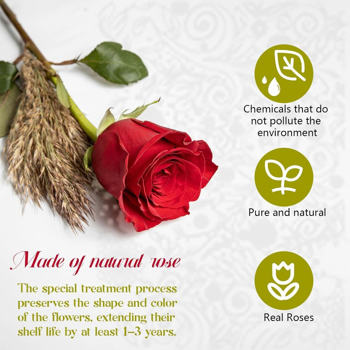 16 Preserved Roses in Heart Box – Forever Rose Gift for Special Occasions